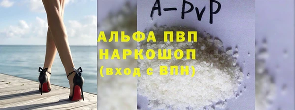 гашик Арсеньев
