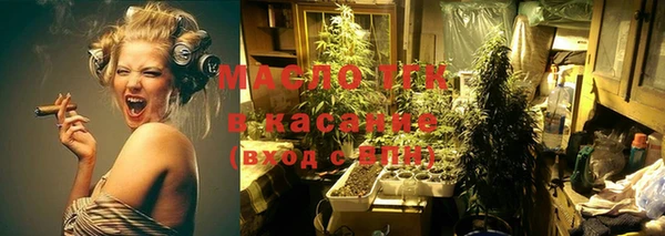 гашик Арсеньев