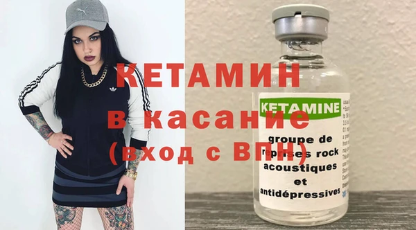 гашик Арсеньев